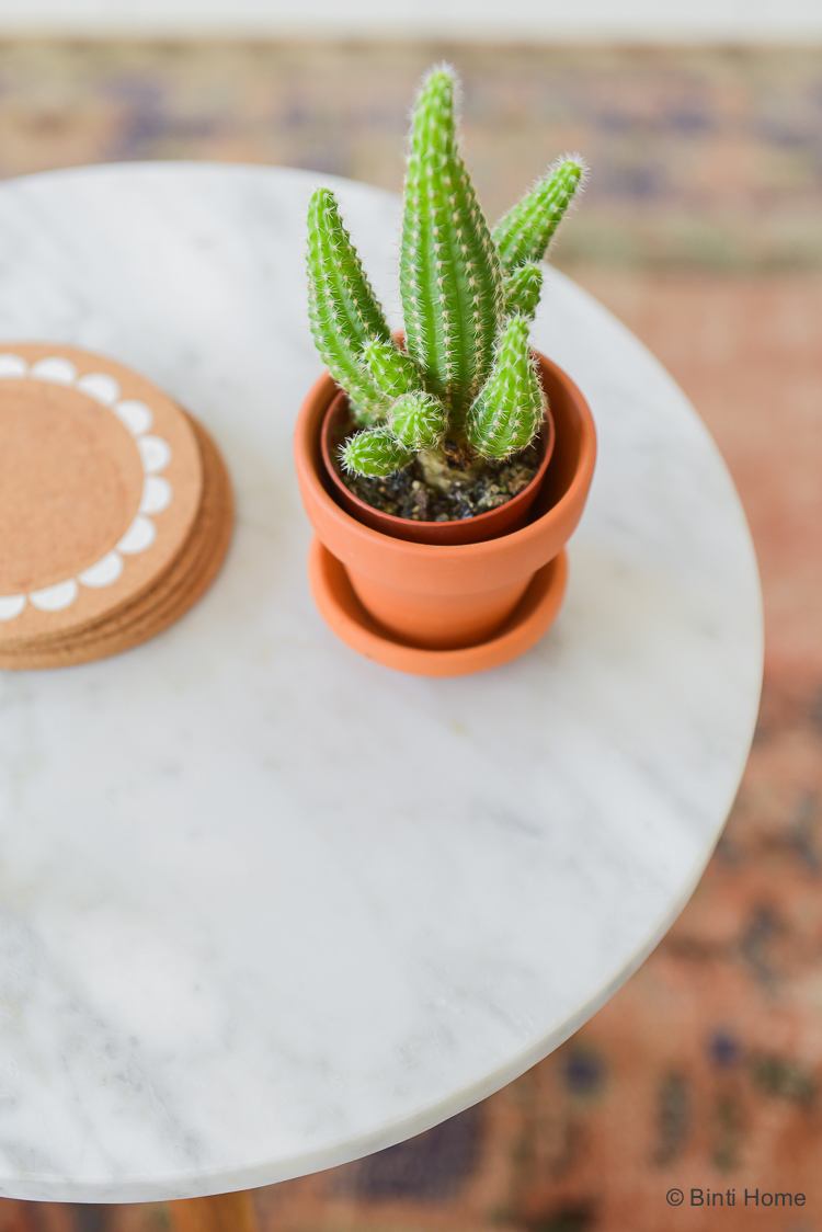 Stylingtip op zondag : planten in huis, de mini cactus