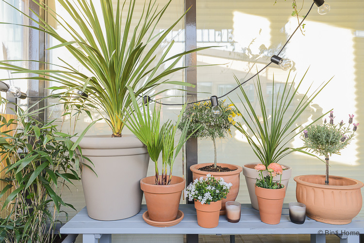Balkon inspiratie klein balkon inrichten met veel planten Mooiwatplantendoen ©BintiHome